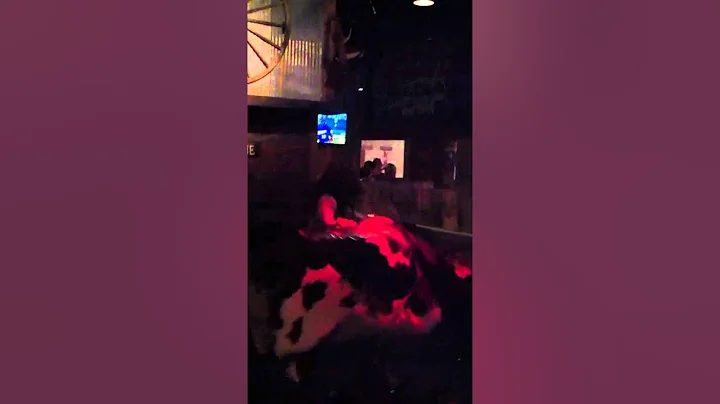 Mary Hauser Mechanical Bull