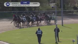 Vidéo de la course PMU OVERDIE METALS GROUP PRIJS