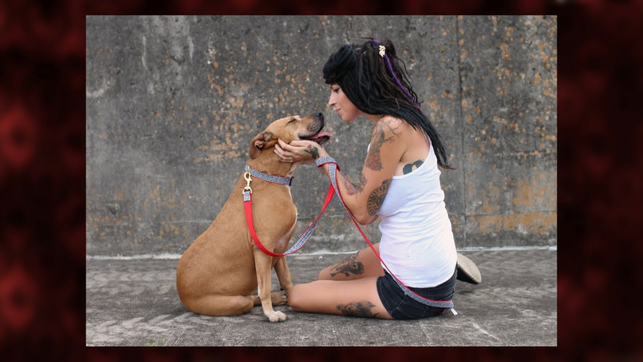 pit bull breed, dog photo shoot, tania and brandy, dog calendars, pit bulls ...