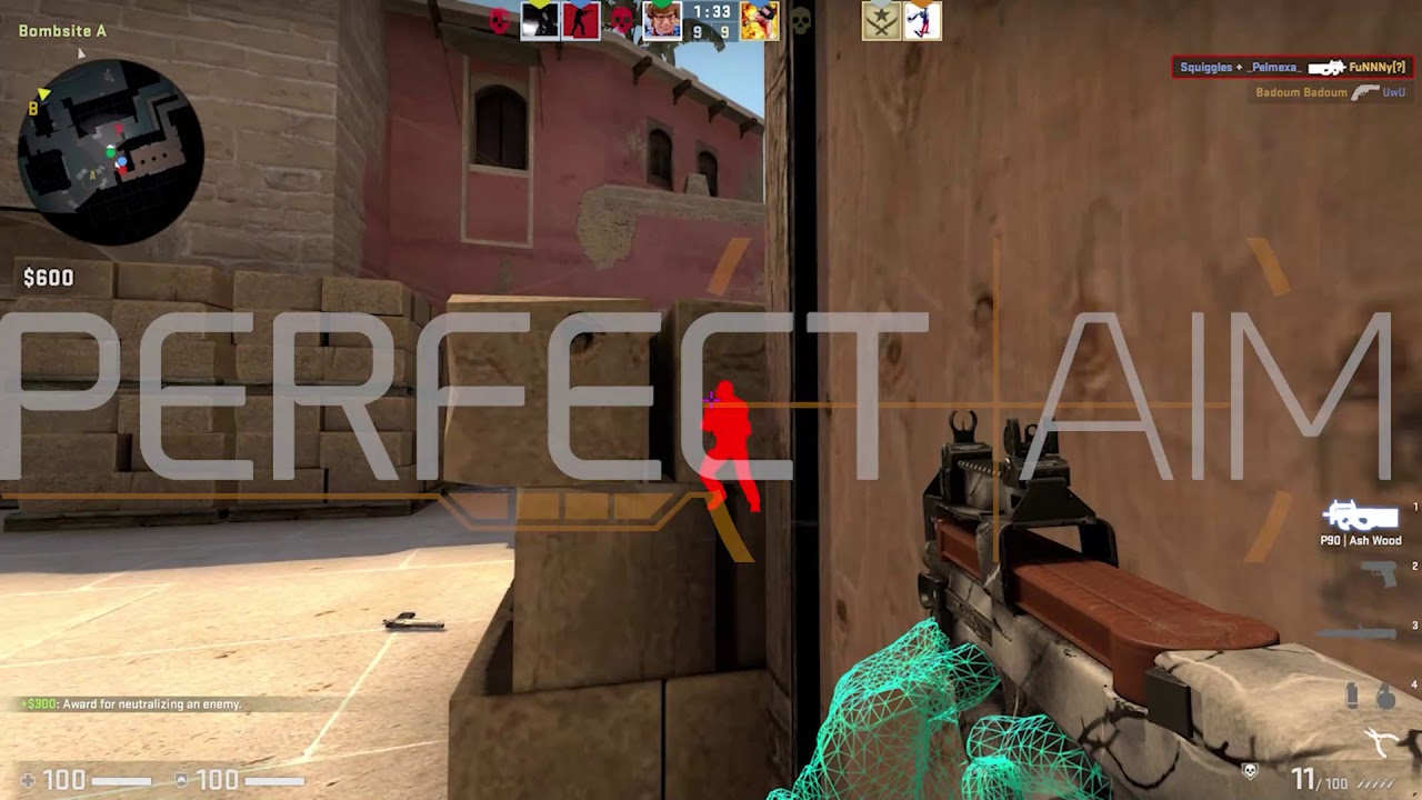 CSGO Chams Cheating (ft. PerfectAim.io)