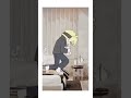 naruto sleeping