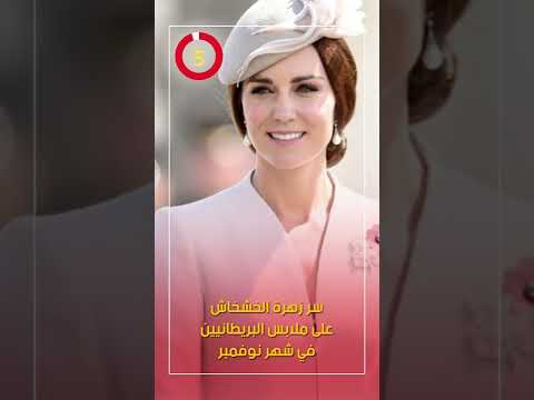 سر زهرة الخشخاش على ملابس البريطانيين في شهر نوفمبر