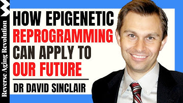 How Epigenetic Reprogramming Can Apply To Our Future | Dr David Sinclair & Dr David Perlmutter Clips