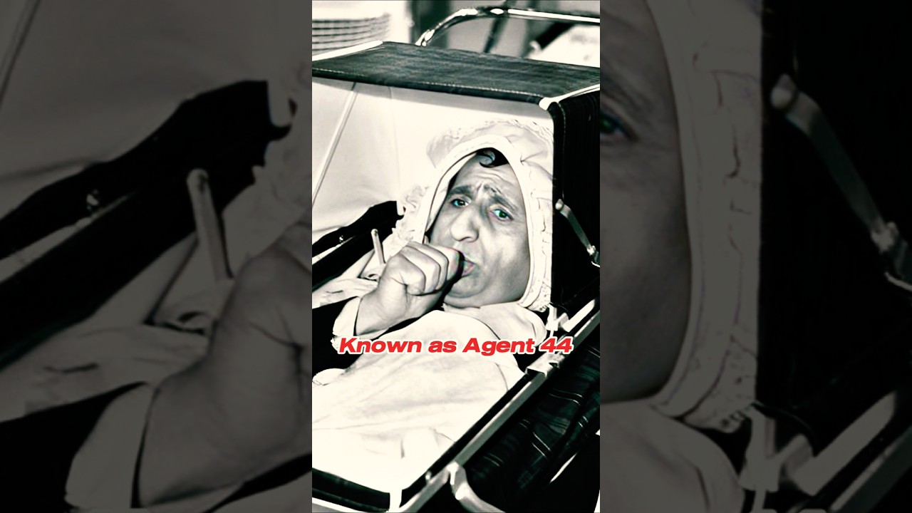 Meet the iconic cast of Get Smart (1965-1970) 