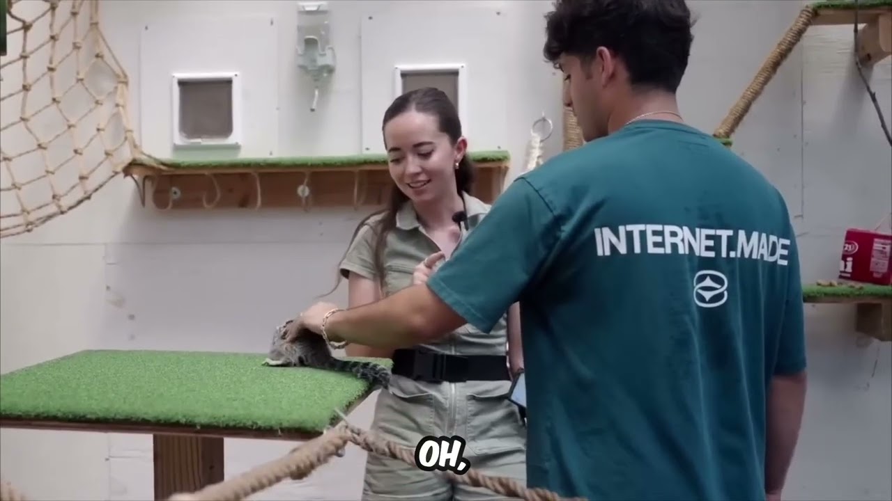 Cat presents a strange offering, then a predator launches a shocking aerial assault! Wait for the...