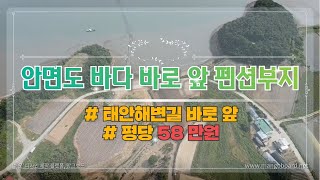태안해변길이 펼쳐져있는, 안면도 바다 바로 앞 펜션부지