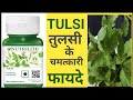 तुलसी के चमत्कारी फायदे।।Benefits of Tulsi