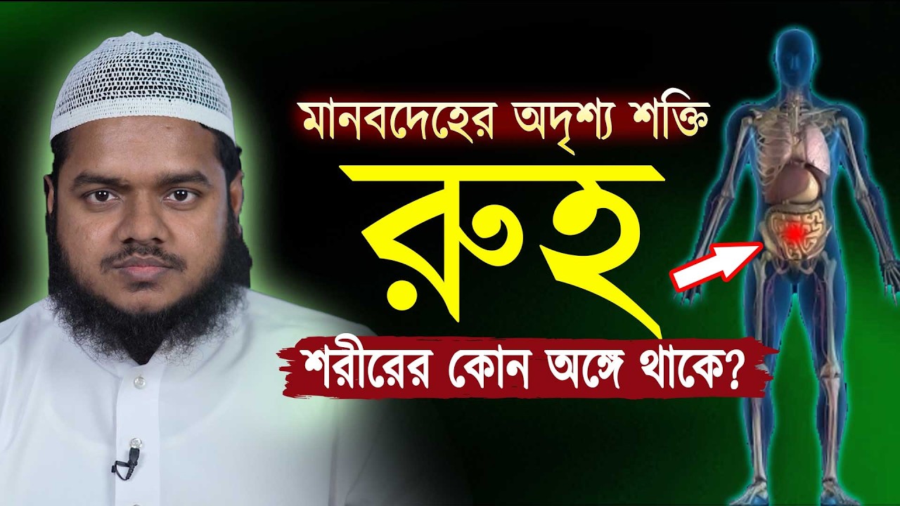 মানব দেহের কোন অঙ্গে রুহ থাকে ❓ Abdullah bin abdur razzak new waz