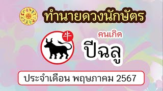 ทำนายดวงนักษัตร ดวงคนเกิดปีฉลู ประจำเดือน พฤษภาคม 2567