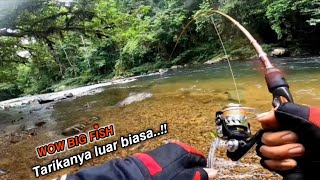 Begini jadiNya..!! kalau mancing mahseer di spot yg tak terjamah FULL STRIKE ‼