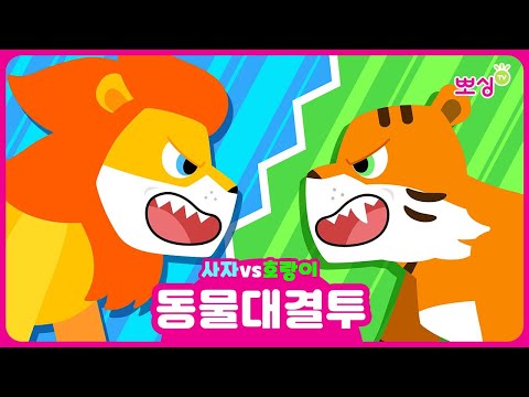 💥사자 vs 호랑이 | 동물대결투! | 어떤 동물이 더 강력할까? | 동물 동요 | 뽀싱TV