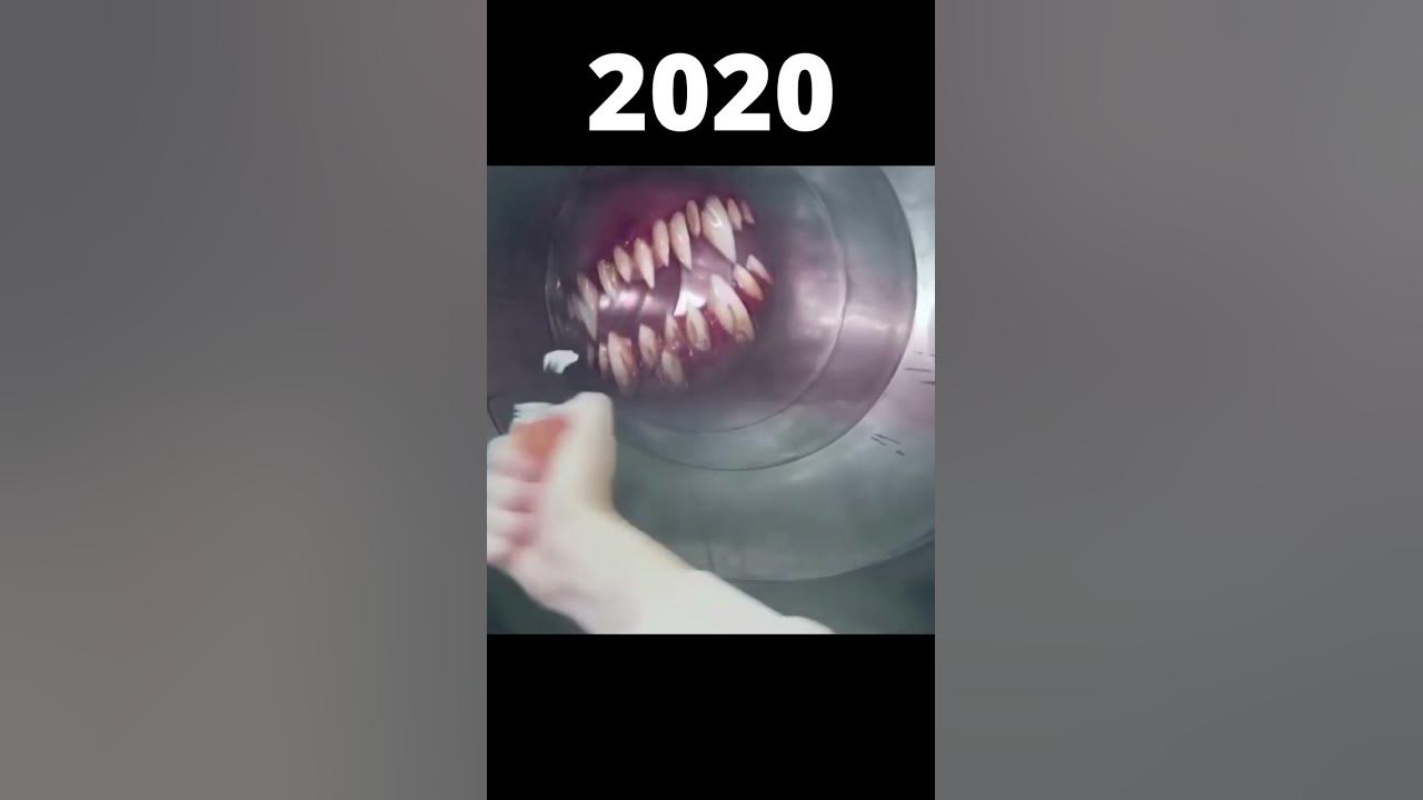 Extra Slide of evolution #carnivorousslide #evolution