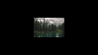 Raindrops and Silence