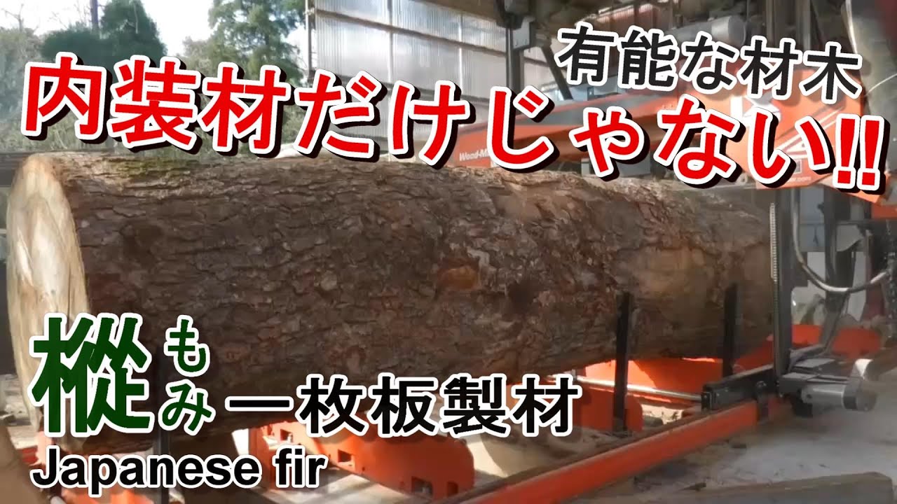 【樅（もみ）】生命の木と言われる樅を板目に製材してみた（製材） - YouTube