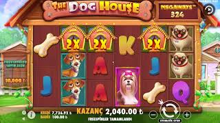 DOG HOUSE | Günü Kurtarır 60.000 TL Kazanç ! | #DogHouseMegaways #SlotVideoları