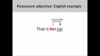 Possessive adjectives in the nominative and accusative cases | |  German Grammar