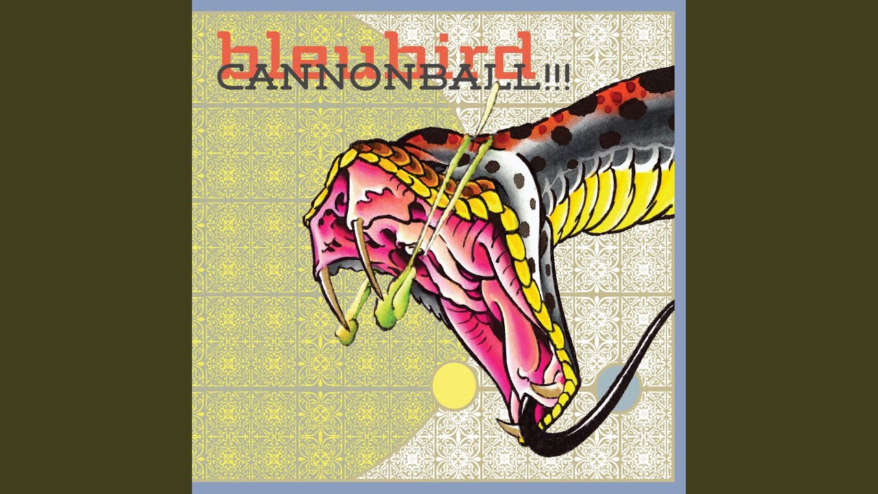 Time 4Real (feat. Ceschi)