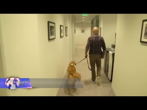 მაშველებისა და პოლიციელების სანდო პარტნიორი