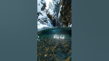 قران كريم بصوت جميل #اكسبلور #عظيم #المصحف