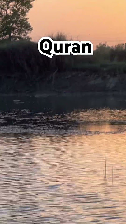 Quran surah Al Imran ayat 26-27 with Urdu translation #subscribe #islam #quran #ytshorts #reelsindia