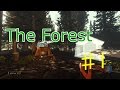 [The Forest]実況:グロR18 ♯1 その石は熱いっ！