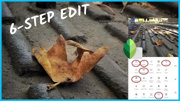 6-Step Mobile Photo Editing Process | Android | iPhone | Snapseed Tutorial