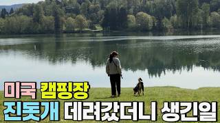 🇺🇸 미국 캠핑장에 진돗개 데려갔더니 생긴일 | 네눈박이 진돗개 마일로 4살 생일 파티