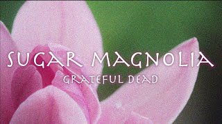 Video thumbnail of "SUGAR MAGNOLIA - Grateful Dead (lyrics) 和訳グレイトフル・デッド「シュガー・マグノリア」1970年"