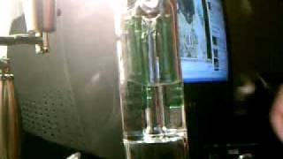18 inch SYN worldwide three tree perk