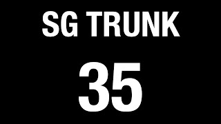 SBS Transit Trunk 35 (BFTP 2016) | Bus Service Hyperlapse