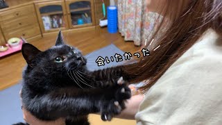 黒猫が遅く帰ってきた飼い主に大喜びする姿が可愛すぎました