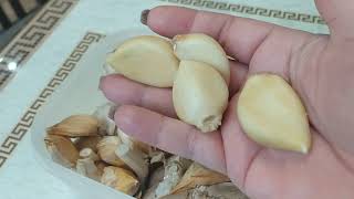 видео: Самый лучший из трех проверенных способов хранения чеснока до весны 👍 картинка: Самый лучший из трех проверенных способов хранения чеснока до весны 👍