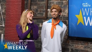 What's Up Weekly - Nov. 1, 2024