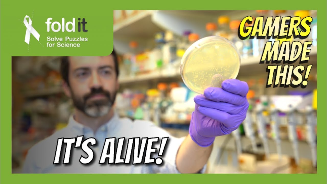 From DNA to protein (Part 2) – Lab Report 35