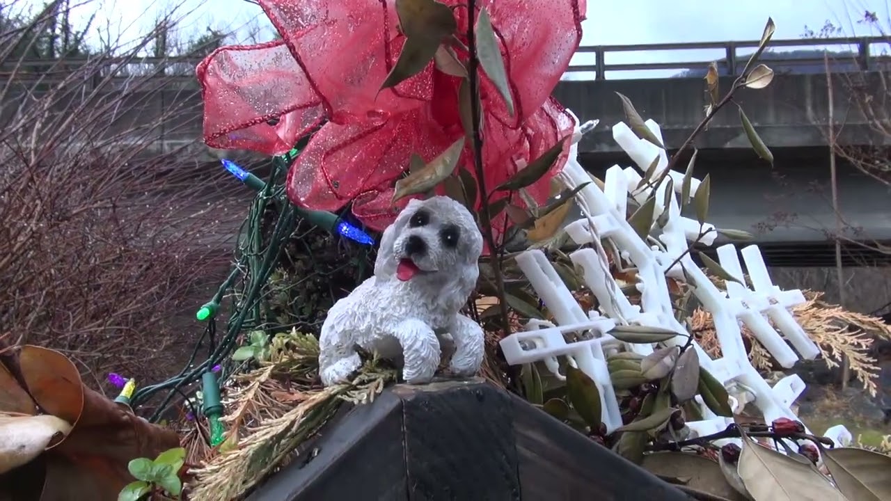 Озеро Люр, Северная Каролина, до и после урагана «Хелен...