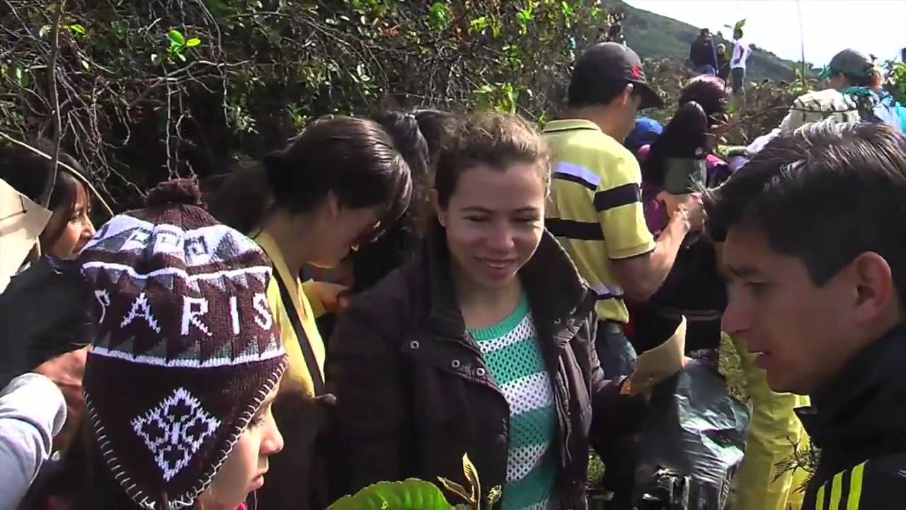 Red De Arboles Jornada de Siembra ToTTo camera iphone 8 plus apk