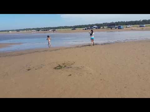 Байкал 2017 лето Лемасово