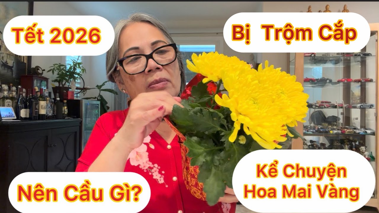 Tập 1927: Tết Năm  Nay Hồng Cầu Xin Gì ? Chuyện Bị Trộm Cắp Chậu Mai Vàng Trước Tết 