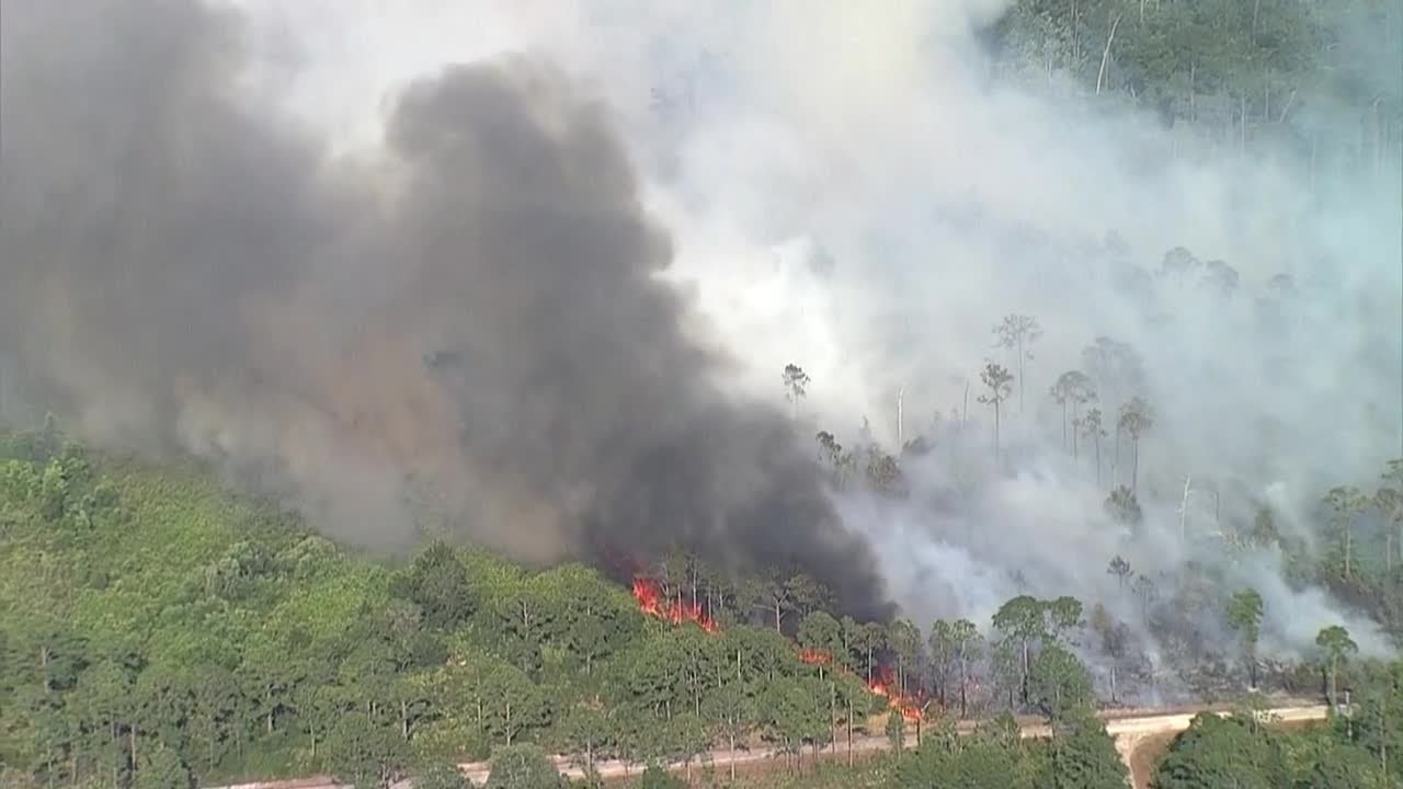 Homes evacuated due to large brush fire in Highlands County - YouTube