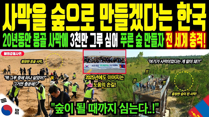"Korea turned the Mongolian desert into a forest!" A miracle created by Korea, which planted 30 m...