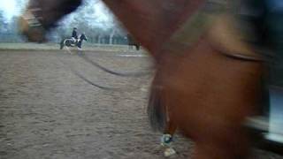 DSCF2177