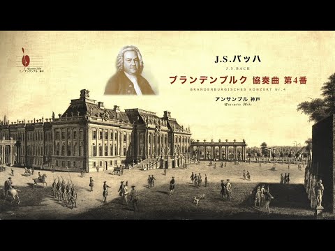 J．S．バッハ：ブランデンブルク協奏曲第4番-第6番　BWV1049～1051/ＳＡＣＤ/UCGA-9009