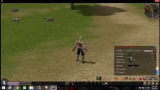 Metin2 Hack(Tutorial+Demonstratie)