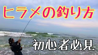 【遠州サーフ】初心者におすすめのヒラメの釣り方！！