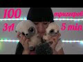 ASMR 100 TRIGGERS IN 5 MINUTES ❤️ 100 ТРИГГЕРОВ ЗА 5 МИНУТ АСМР✨