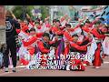 20260607湘南よさこい祭り2026(ぞっこん町田98)【4K】