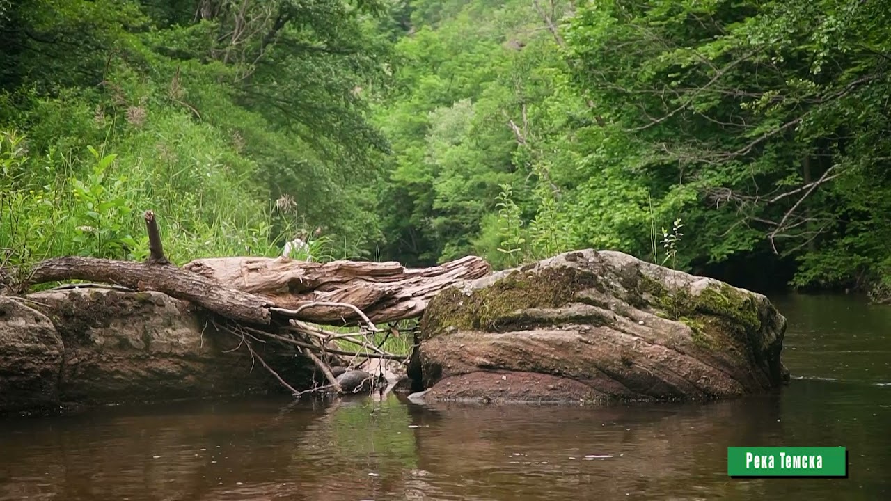 Reke i jezera - Reka Temska