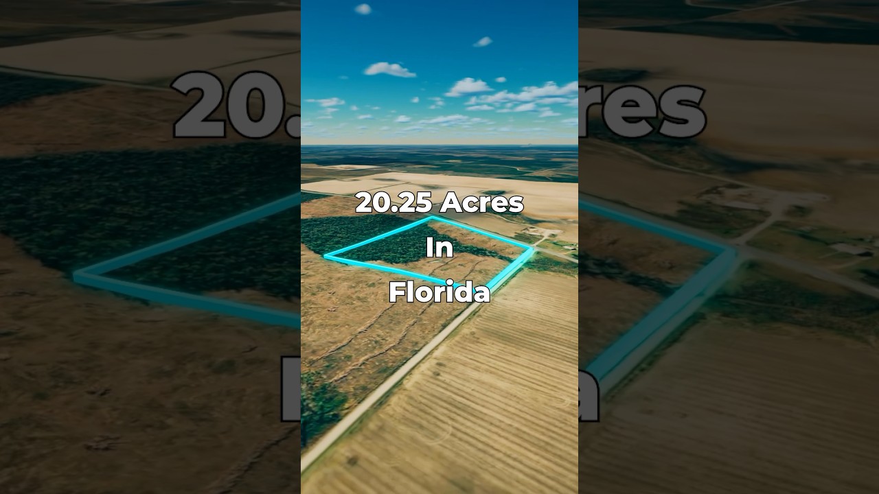 Продажа земли во Флориде • 20,25 акров с электричеством и выходом на дорогу • ЛЭНДИО