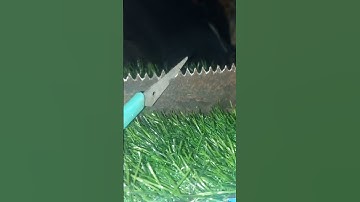 Sharpen Your Saw in Minutes with This Simple Trick!