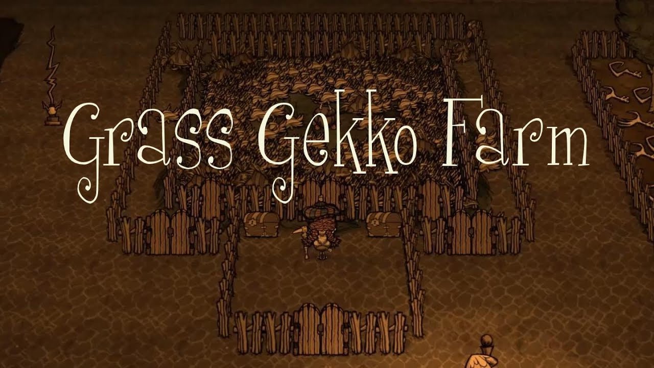 DST Tips: Creating a Grass Gekko Farm